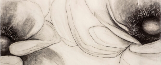 French Anemones1
