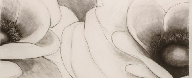 French Anemones2