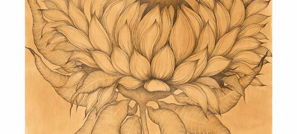 Sunflower 2