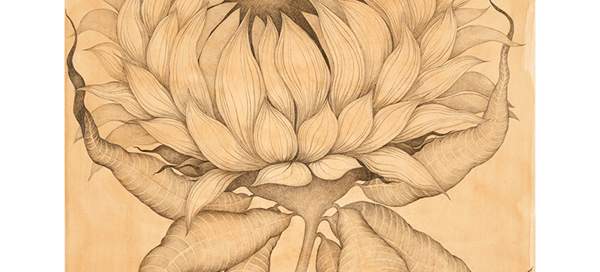 Sunflower3