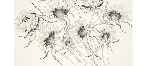 Sunflowers 1