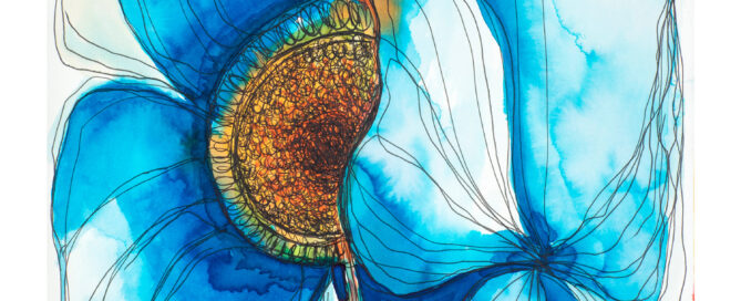 Blue Poppy