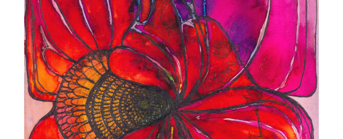 Sunset Poppy