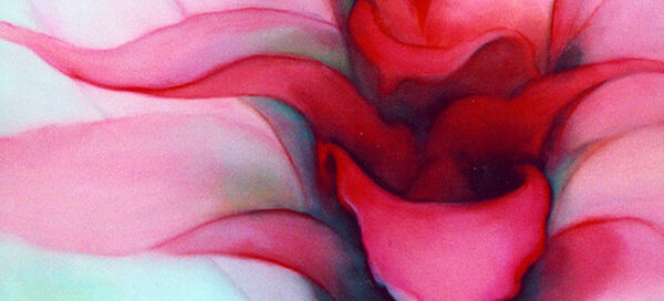 Pink Cactus